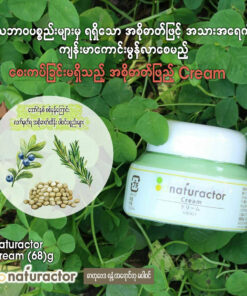Alternative view of Naturactor Cream
