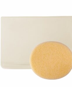 Meiko spong for summer cake with case
